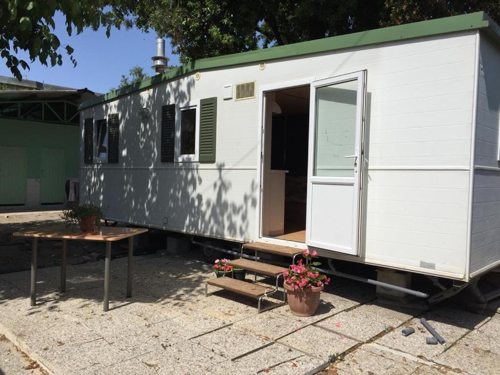 Camping Verde 马萨 外观 照片